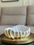 Misa Muszla/ kolekcja organiczna Biel z piaskiem 