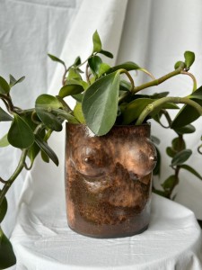 Osłonka cycuszki  czekolada/puder duża 