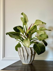 Osłonka organiczna piaskowa