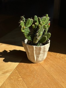 Osłonka organiczna piaskowa 